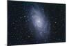 The Triangulum Galaxy-null-Mounted Photographic Print