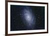 The Triangulum Galaxy-null-Framed Photographic Print