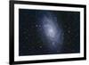 The Triangulum Galaxy-null-Framed Photographic Print