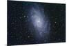 The Triangulum Galaxy-null-Mounted Photographic Print