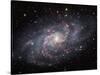 The Triangulum Galaxy-Stocktrek Images-Stretched Canvas