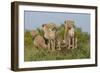 The Tribe-Susann Parker-Framed Premium Photographic Print