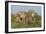 The Tribe-Susann Parker-Framed Premium Photographic Print