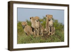 The Tribe-Susann Parker-Framed Photographic Print