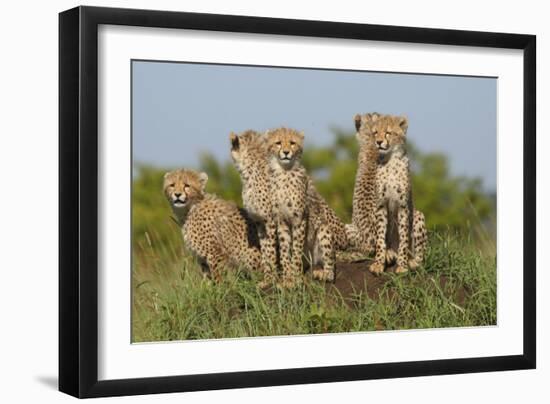 The Tribe-Susann Parker-Framed Photographic Print