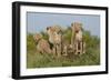 The Tribe-Susann Parker-Framed Photographic Print