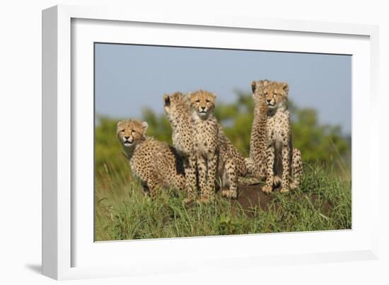 The Tribe-Susann Parker-Framed Photographic Print