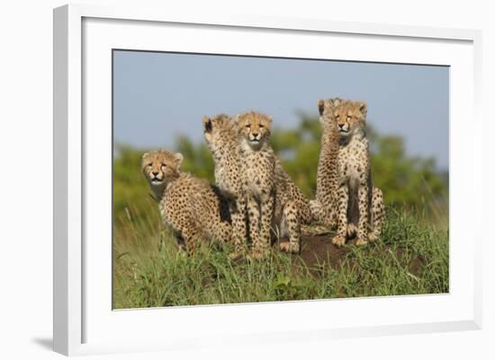 The Tribe-Susann Parker-Framed Photographic Print
