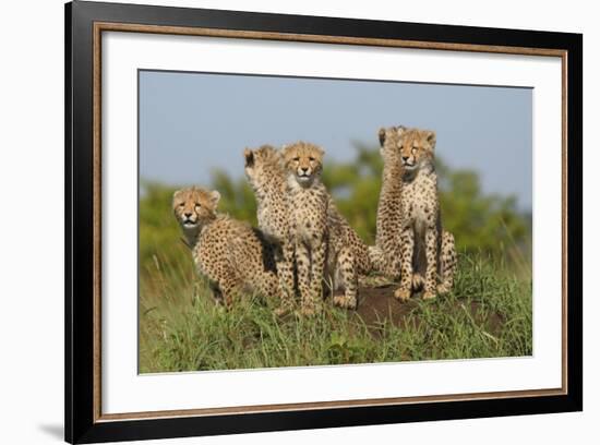The Tribe-Susann Parker-Framed Photographic Print