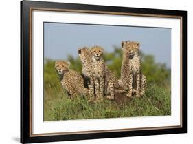 The Tribe-Susann Parker-Framed Photographic Print