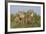 The Tribe-Susann Parker-Framed Photographic Print