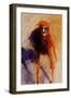 The Trickster-Lou Wall-Framed Giclee Print