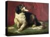 The Trickster-Edwin Henry Landseer-Stretched Canvas
