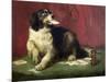 The Trickster-Edwin Henry Landseer-Mounted Giclee Print