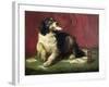 The Trickster-Edwin Henry Landseer-Framed Giclee Print