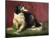 The Trickster-Edwin Henry Landseer-Stretched Canvas