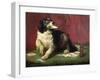 The Trickster-Edwin Henry Landseer-Framed Giclee Print