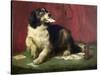 The Trickster-Edwin Henry Landseer-Stretched Canvas