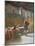 The Triclinium after the Orgy, Circa 1860-Domenico Morelli-Mounted Giclee Print