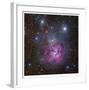 The Trifid Nebula in Sagittarius-Robert Gendler-Framed Giclee Print