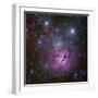 The Trifid Nebula Located in Sagittarius-Stocktrek Images-Framed Photographic Print