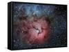 The Trifid Nebula-Stocktrek Images-Framed Stretched Canvas