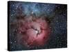 The Trifid Nebula-Stocktrek Images-Stretched Canvas