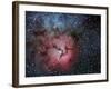 The Trifid Nebula-Stocktrek Images-Framed Photographic Print