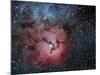 The Trifid Nebula-Stocktrek Images-Mounted Photographic Print