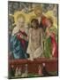 The Trinity and Mystic Pietà, 1512-Hans Baldung-Mounted Giclee Print