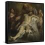 The Trinity (Oil on Panel)-Peter Paul Rubens-Framed Stretched Canvas