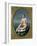 The Triumph of Amphitrite-Jean-Baptiste Regnault-Framed Giclee Print