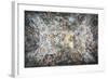 The Triumph of Divine Providence, 1632-1639-null-Framed Giclee Print