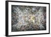 The Triumph of Divine Providence, 1632-1639-null-Framed Giclee Print