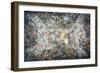 The Triumph of Divine Providence, 1632-1639-null-Framed Giclee Print