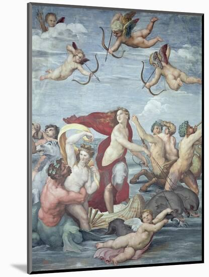 The Triumph of Galatea, 1512-14-Raphael-Mounted Giclee Print