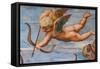 The Triumph of Galatea, 1513-14 (Fresco) (Detail of 2646174)-Raphael (1483-1520)-Framed Stretched Canvas