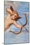 The Triumph of Galatea, 1513-14 (Fresco) (Detail of 2646174)-Raphael (1483-1520)-Mounted Giclee Print