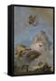 The Triumph of Venus, Between 1762 and 1765-Giandomenico Tiepolo-Framed Stretched Canvas