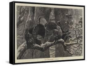 The Triumphant Turkeys-Arthur Boyd Houghton-Framed Stretched Canvas