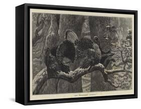 The Triumphant Turkeys-Arthur Boyd Houghton-Framed Stretched Canvas