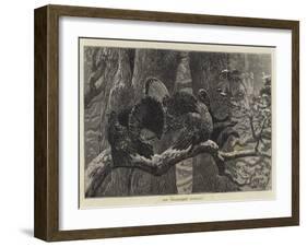 The Triumphant Turkeys-Arthur Boyd Houghton-Framed Giclee Print