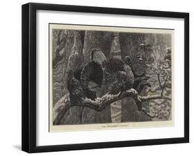 The Triumphant Turkeys-Arthur Boyd Houghton-Framed Giclee Print