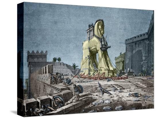 Stretched Canvas Print, , large