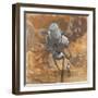 The Trooper-Craig Snodgrass-Framed Giclee Print