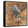 The Trooper-Craig Snodgrass-Framed Stretched Canvas