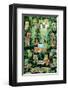 The Tropical Rain Forest-null-Framed Art Print