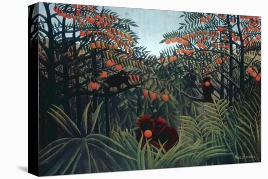The Tropics, 1910-Henri Rousseau-Stretched Canvas