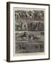 The Trotting Match at the Alexandra Palace-Alfred Chantrey Corbould-Framed Giclee Print