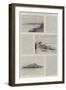 The Trouble in Samoa, Scenes and Sketches in the Islands-Charles Auguste Loye-Framed Giclee Print